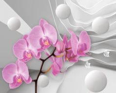 Фреска Розовые орхидеи
