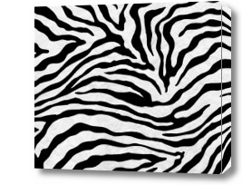 Картина фактура зебра